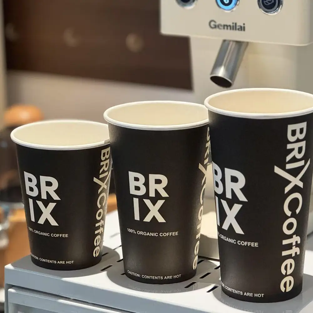 Double-wall cup